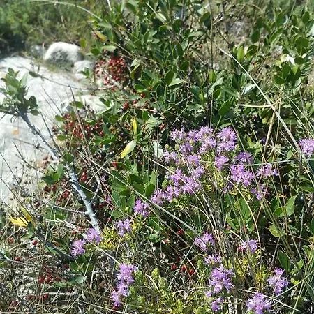 La Dimora Dei Pescatori Semesterbostad *