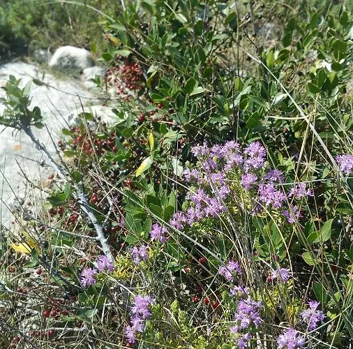 La Dimora Dei Pescatori Casa vacanze *