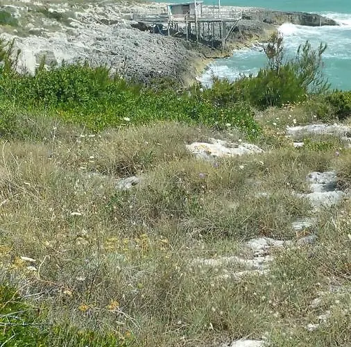 Casa vacanze La Dimora Dei Pescatori